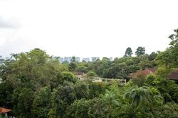Botanic Gardens View (D10), Apartment #627455531